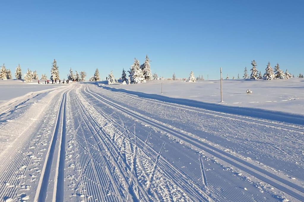 Beautiful Penthouse With Panoramic View At Sjusjoen Appartement Buitenkant foto